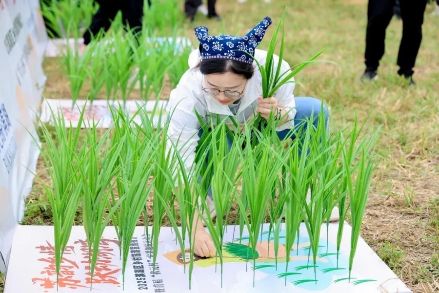 的参赛队伍, vknPN 的参赛队伍, vknPN